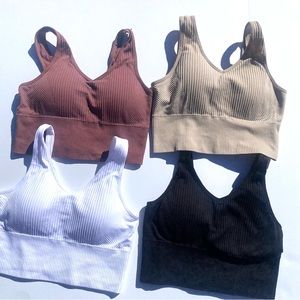 Bundle of 4 ProFit Seamless Sport Bras